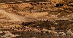 什么是“筹码管理（Chip Management）”？解析在线下对局中整理筹码的心理作用。（线下对局中的筹码管理：筹码整理的心理效应解析）